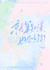 第二人生同人