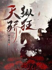 关于转生成为魅魔
