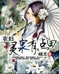 情满四合院介绍